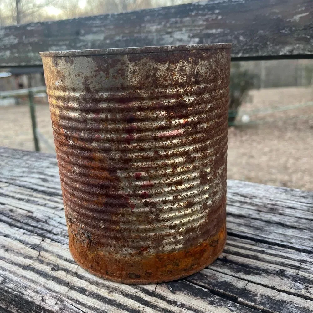 Rusty Tin Can, Flower Vase, Vintage Decor, Farmhouse Decoration, Storage